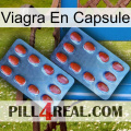 Viagra Capsule 05